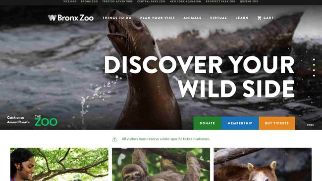 best natural websites: bronx zoo homepage features copy reading "discover your wild side" with a seal in the background 